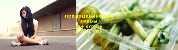ешки Алексин