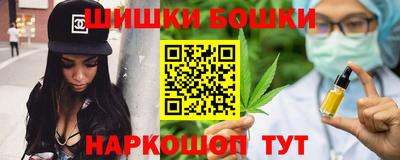 крисы Кулебаки