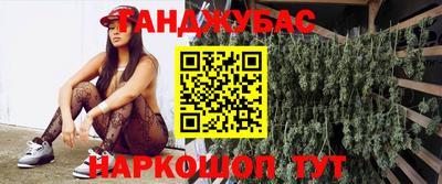 крисы Кулебаки