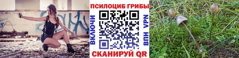 Псилоцибиновые грибы Psilocybine cubensis  Зеленокумск 